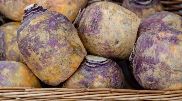 How to cook rutabaga southern style A delicious guide to Southern comfort food