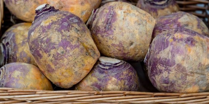 How to cook rutabaga southern style